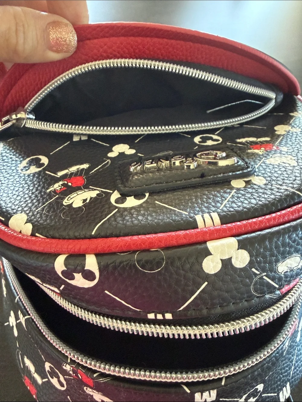 The Bradford Exchange Black and Red Mickey Mouse Mini Backpack